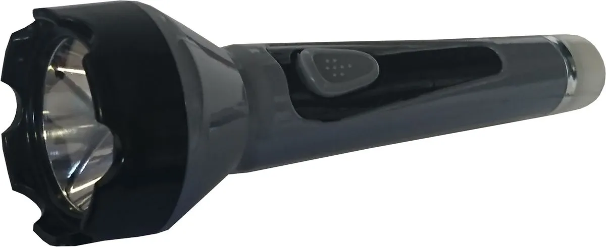 100 Lumen Flashlight