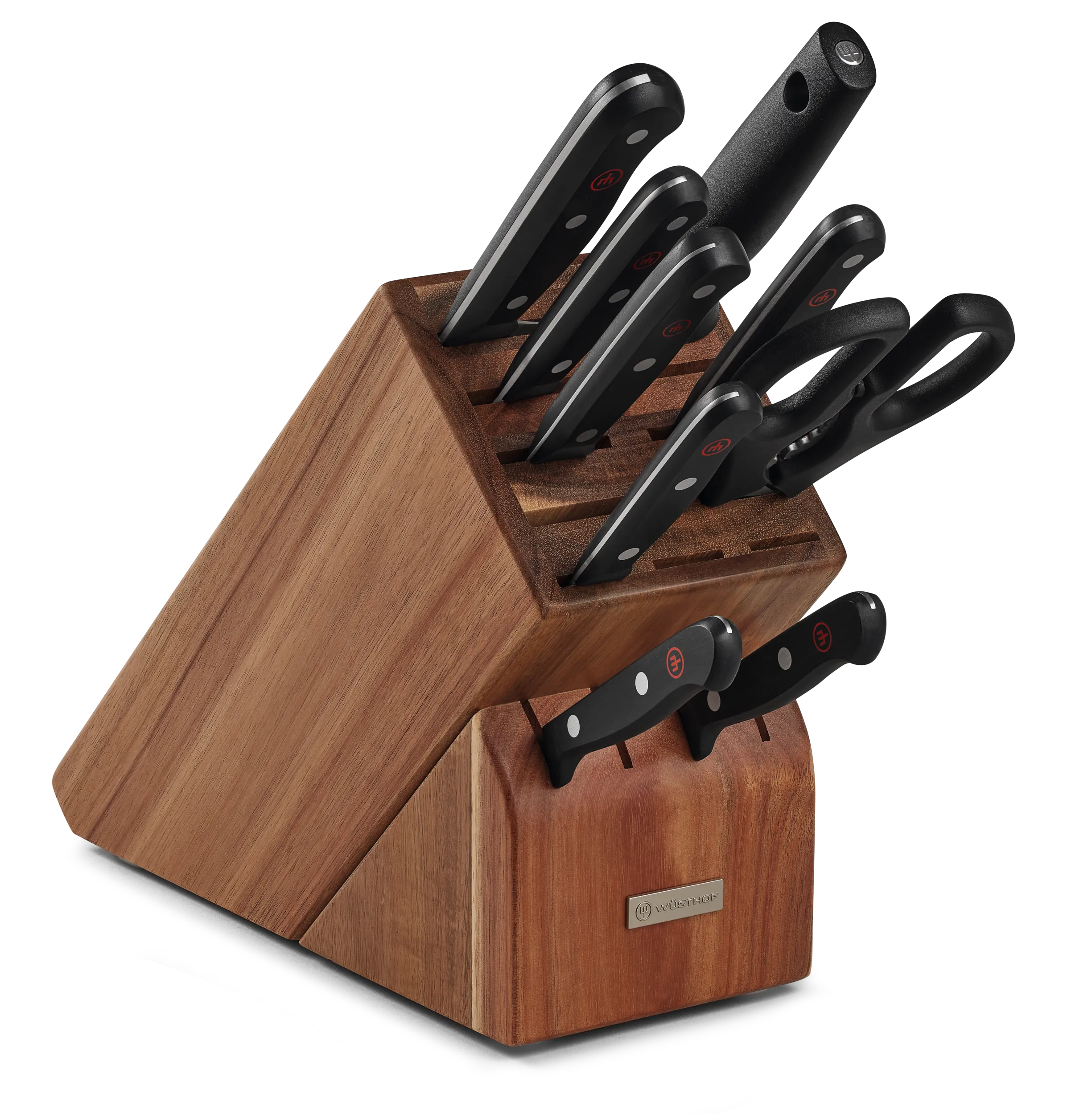 Goumet 10 Pc Knife Block