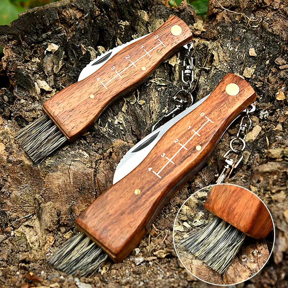 Kitchen knives Mini Mushroom Knife Stainless Steel Wooden Handle with keychain Brush Sharp Multifunctional Folding Knife Brush