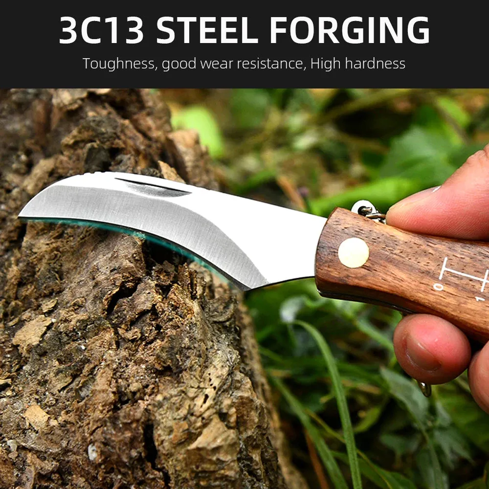 Kitchen knives Mini Mushroom Knife Stainless Steel Wooden Handle with keychain Brush Sharp Multifunctional Folding Knife Brush