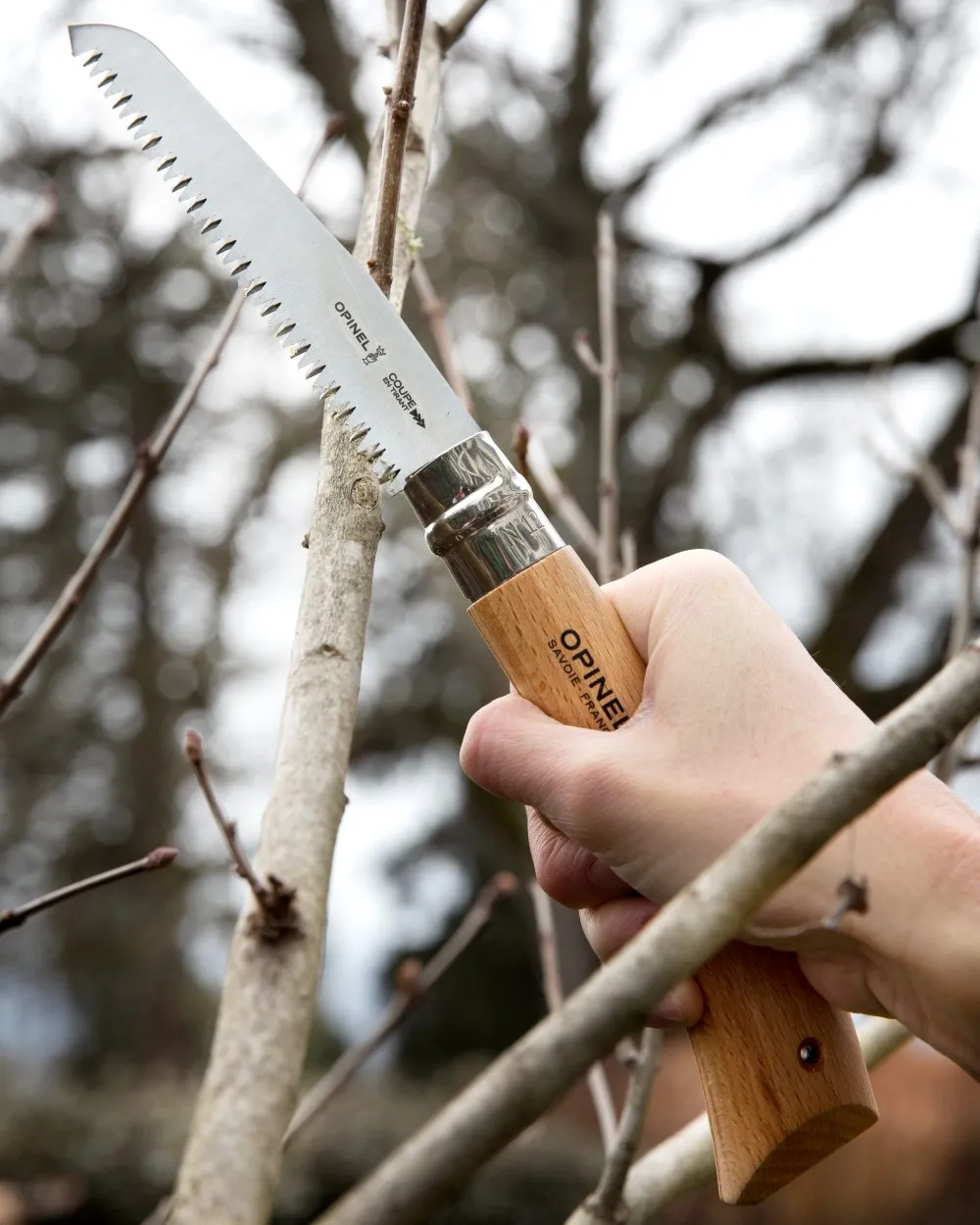 Opinel No.18 Folding Saw Boxed
