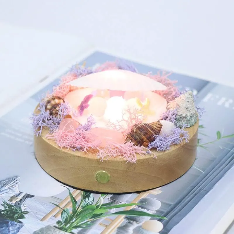 Shell LED Night Lamp - Decorative Soft Light