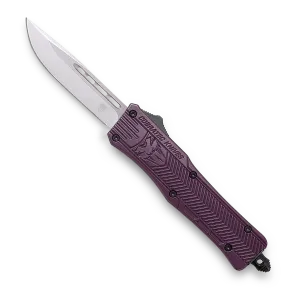Small CTK-1 Plum
