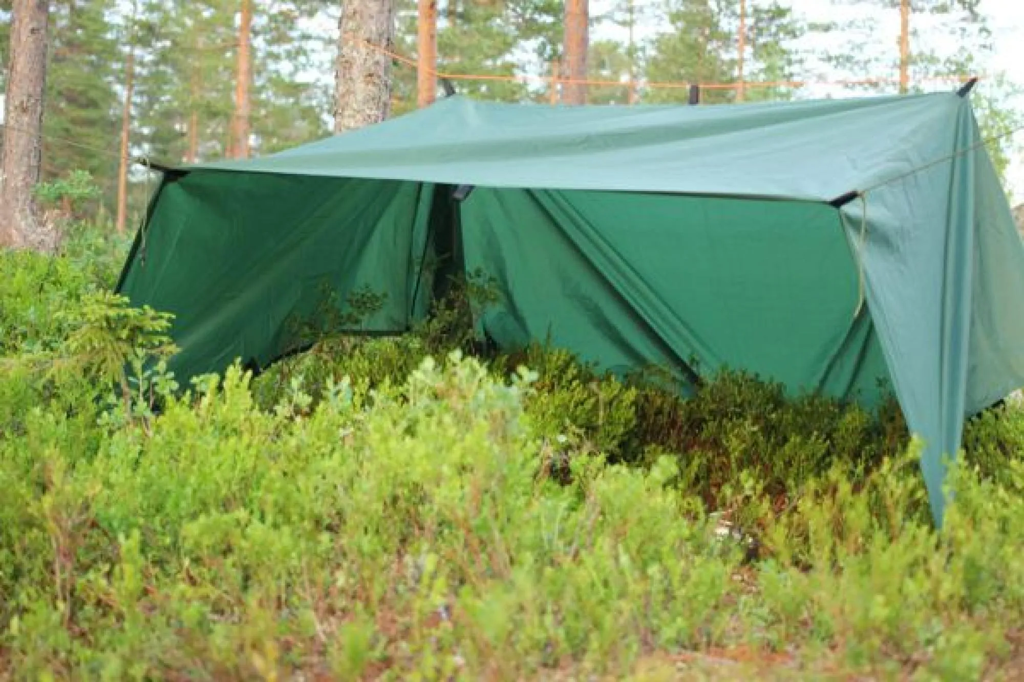 Tarp / Gapahuk