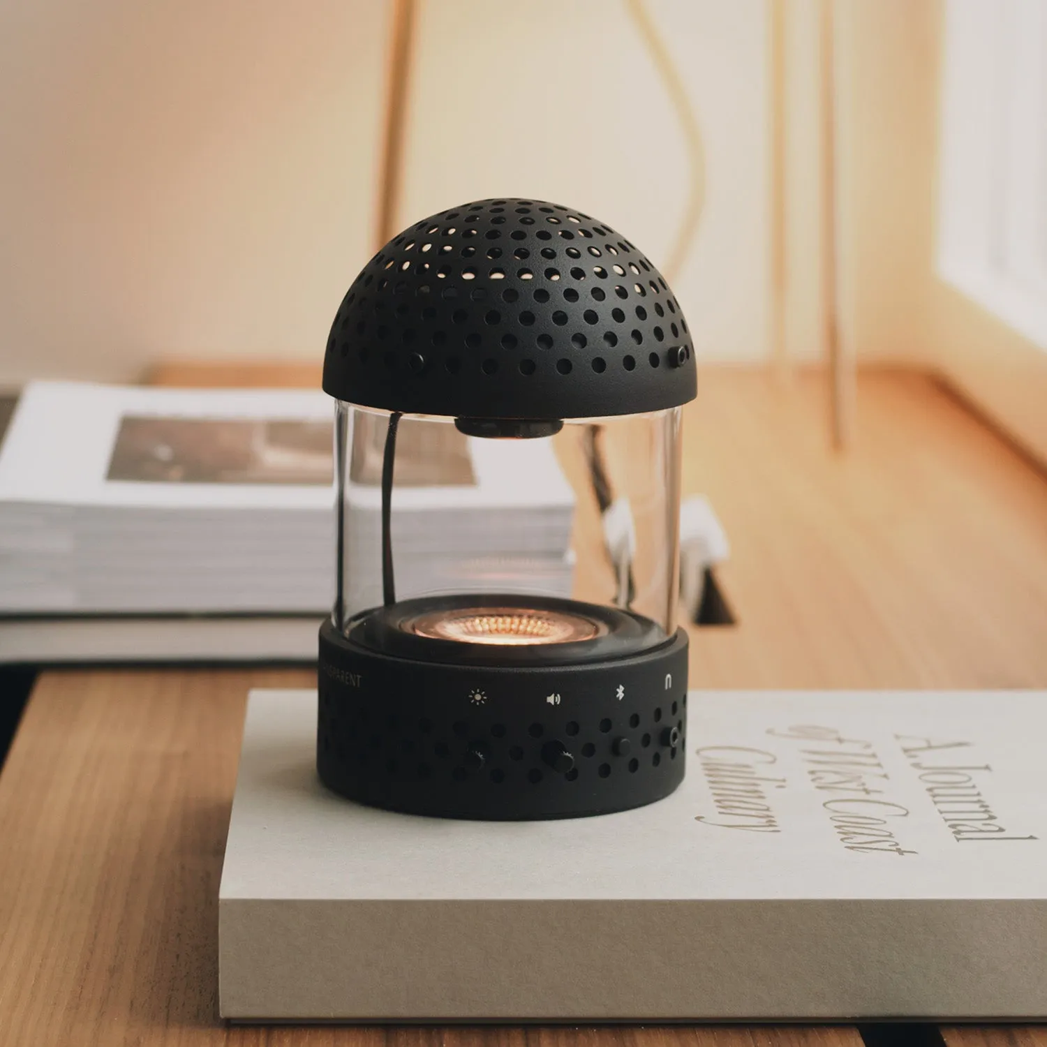 Transparent Light Speaker Lantern